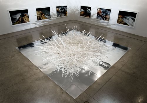 Architectando_elias_nest