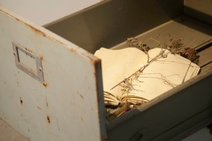 Livro dos Cheiros, installation